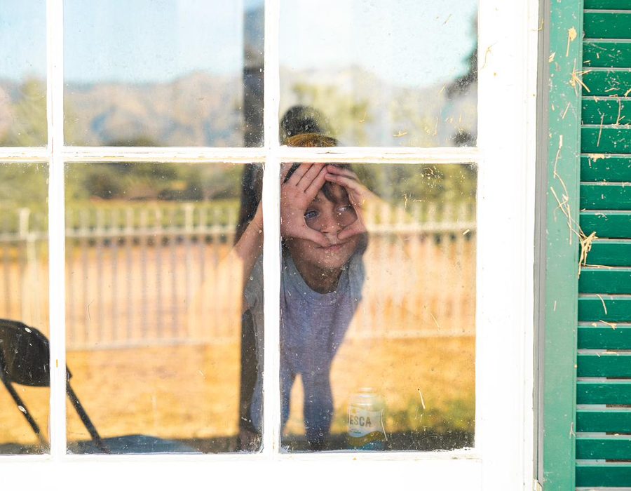 Peeking through the window